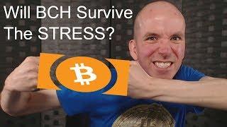 Will Bitcoin Cash Survive The September Stress Test?
