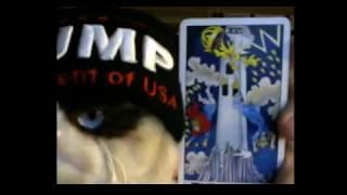 BITCOIN IS COLLAPSING!! A Tarot Card Reading for Bitcoins Future with Trumpy the Kitty!!