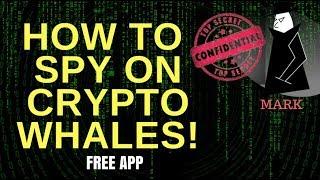 SPY on CRYPTO Whales NOW for FREE! Feat. Crypto Whale Watching App