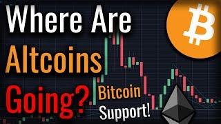 Are Altcoins Primed For A New Rally? Bitcoin Gets Support!