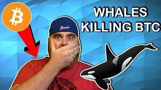 Bitcoin Crashes Due to Whale Price Manipulation? | Crypto News