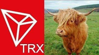 This Big Time BullRun Could Result In $2 TRON TRX