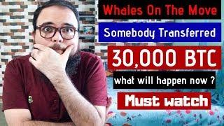 Whale ने Transferred किया 30 हज़ार Bitcoin - क्या होंगे अब ? - Latest Bitcoin News.