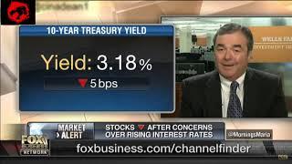 Bitcoin Bull  next year!? | Fox News