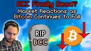 Don't PANIC About Crypto! Bitcoin | Ethereum Falls Below $300 | BCC Considered Dead