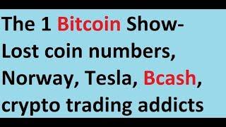 The 1 Bitcoin Show- Lost coin numbers, Norway, Tesla, Bcash, crypto trading addicts