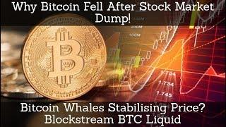 Why Bitcoin Fell After Stock Market Dump! Bitcoin Whales Stabilising Price? Blockstream BTC Liquid