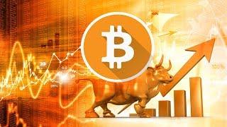 Bitcoin Bull Run Set to Start in November?