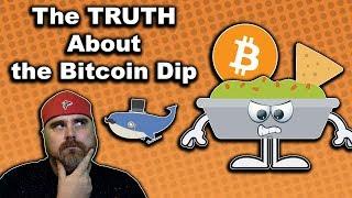 The TRUTH Behind the Bitcoin Dip